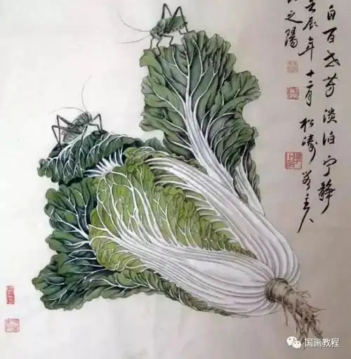 100幅白菜画百看不厌