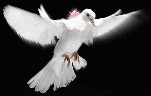 500_319gif 动态图 动图