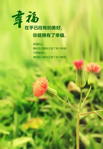 关爱女性保险 珍爱幸福保险怎么样