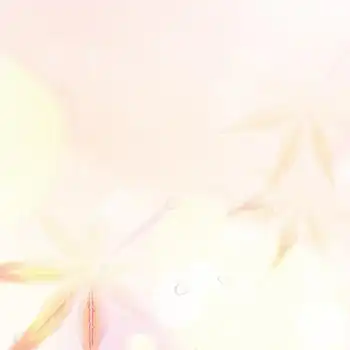 简约淡雅背景图片大全_简约淡雅背景素材下载_熊猫办公