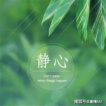 让人看了就静心的图片看淡心静的唯美图片