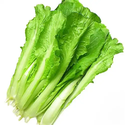 土豆臊子面的做法大全