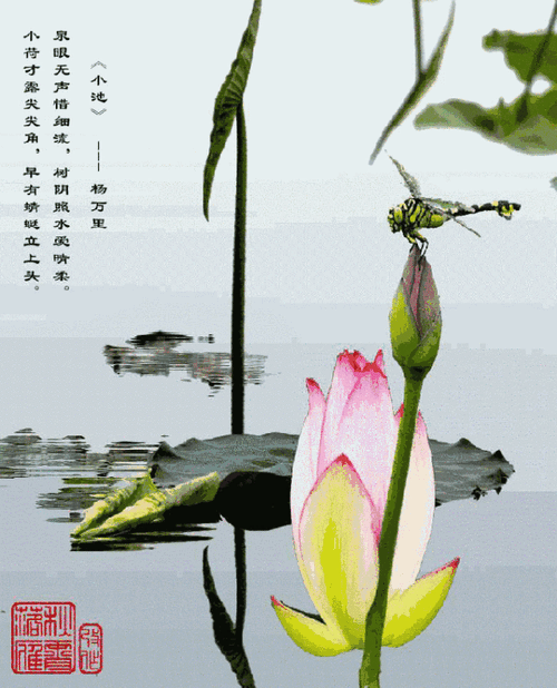 640_791竖版 竖屏gif 动态图 动图