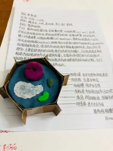 初一实验班生物模型制作大赛获奖公示 写美篇优秀集体奖 海师附中初中