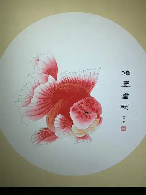 鸿运当头金鱼主题工笔画