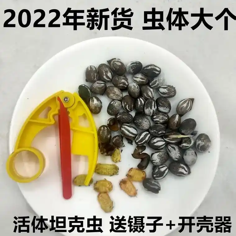 纯天然绿色食品  杨拉罐 - 抖音