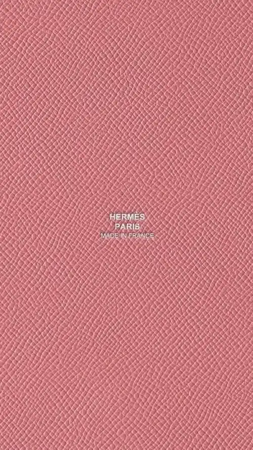 hermeslogoiphone5手机壁纸