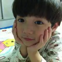 蠢萌的头像动物可爱图片点击鼠标右键下载