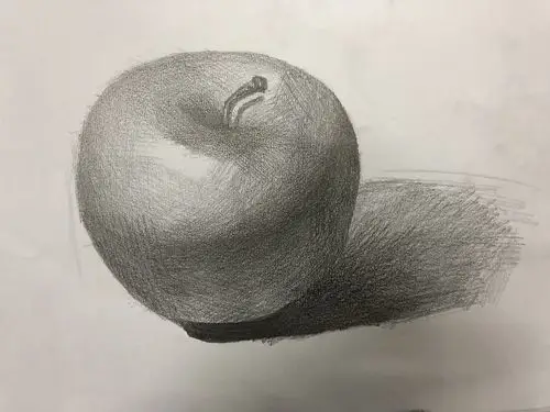 静物素描临摹