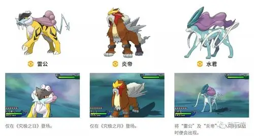 炎帝,水君,雷公凤王,洛奇亚第二世代火焰鸟,闪电鸟,急冻鸟超梦第一