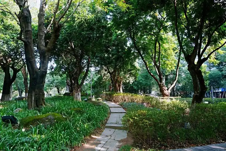 是融入了观赏,休闲功能的专类公园,古树巨石辉映令人如入飘渺仙境