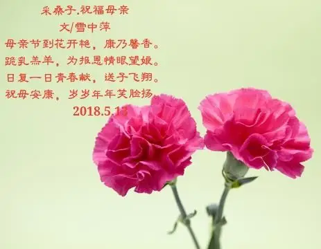 母亲节填词两首