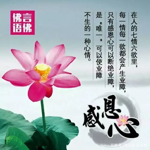 慧开顿悟,花开现佛