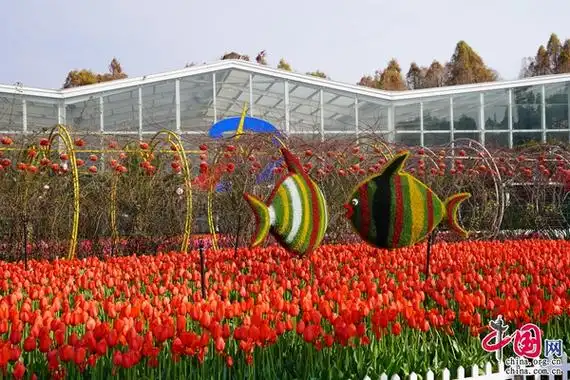 捞渔河湿地公园百万株郁金香花展如约而至