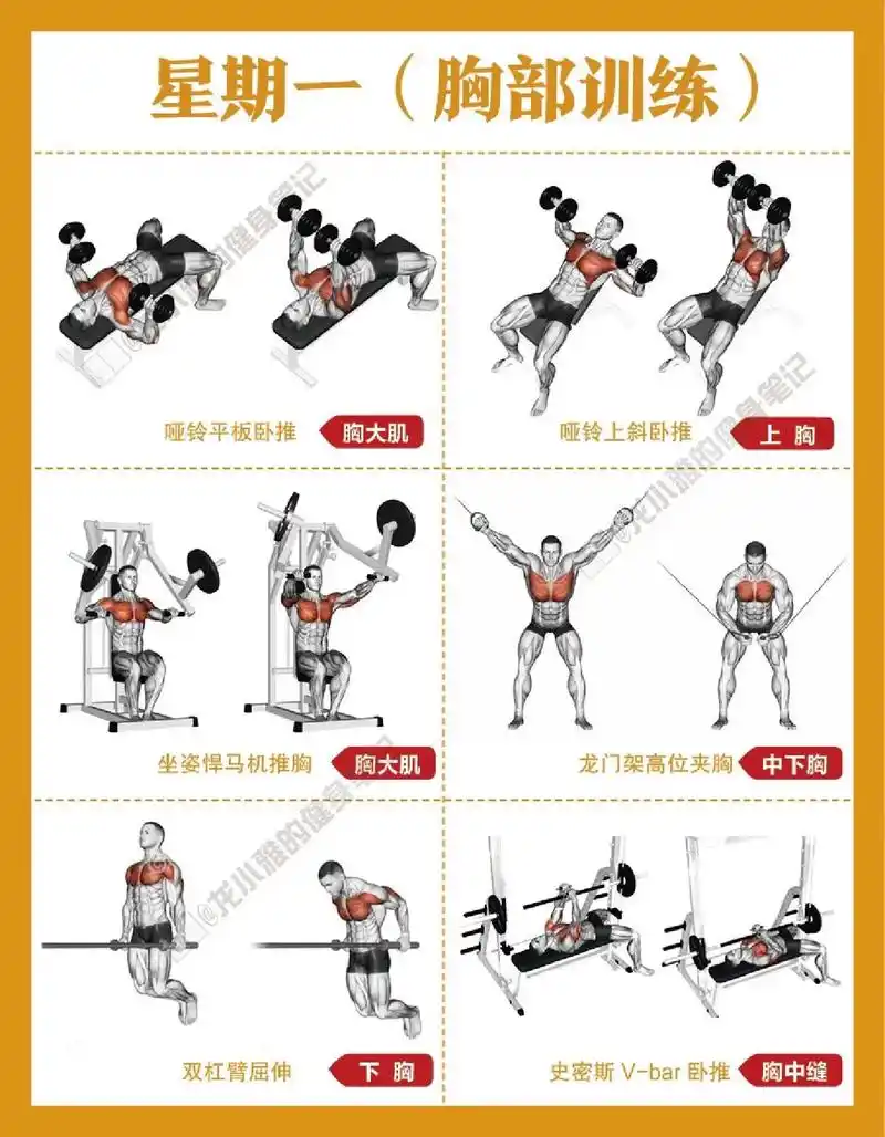 一周五练星期一.【一周五练:星期一,胸部训练】|||61每天训 - 抖音