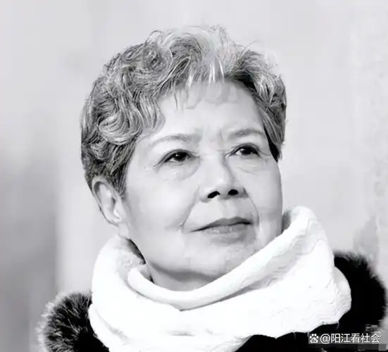 回顾央视主持人沈力逝世事业爱情圆满唯独儿子成为她的遗憾