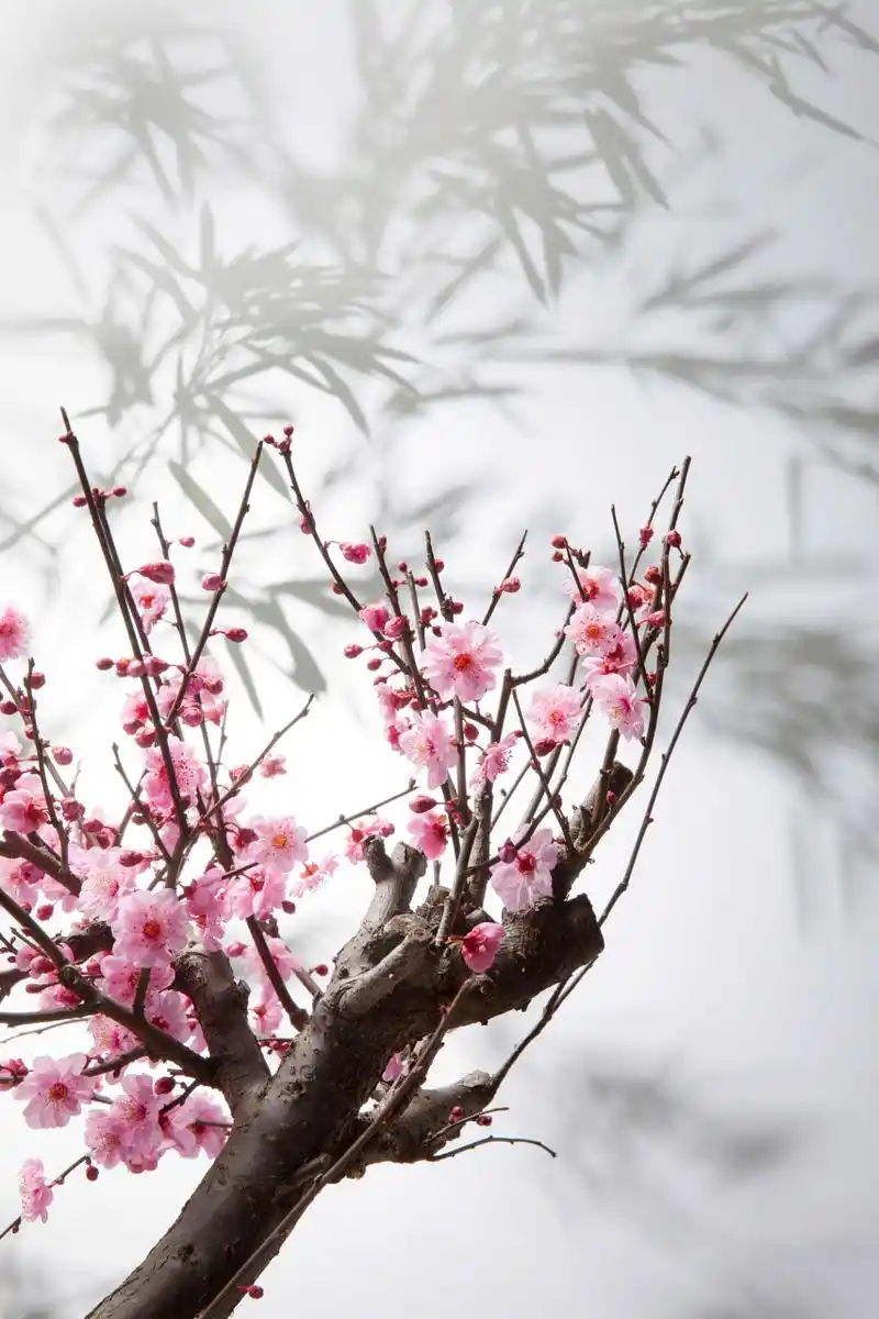 它让我们所求非所得,就像一个操控我们自我折磨的恶魔.