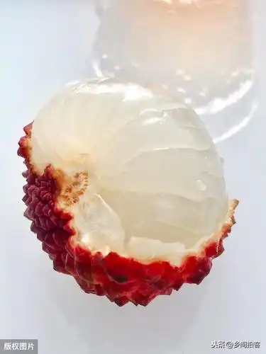 成熟的荔枝王个头似鸡蛋大,剥开轻薄的紫红色外衣,果肉晶莹剔透,果香