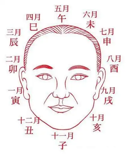 中国古代相法秘笈:《阴阳五行面相秘笈》(珍藏版)