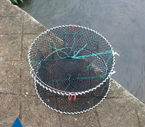 自动地折叠弹簧笼黑鱼网笼渔笼鲫龙虾网鱼笼网虾虾笼渔网螃蟹笼地龙