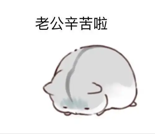 老公辛苦了表情包