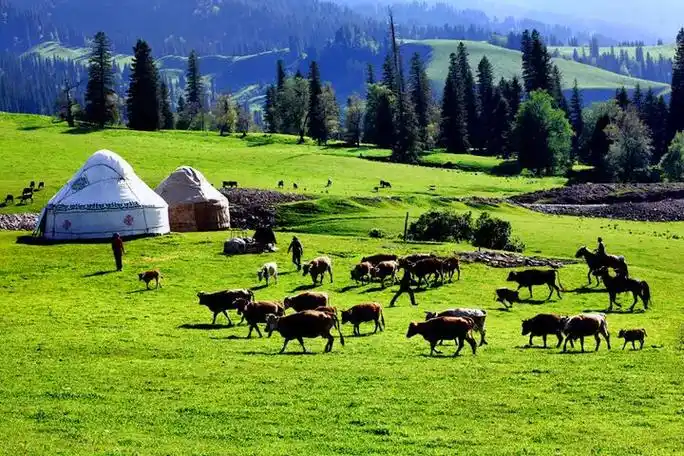 图片来自网络 #美丽的草原风光无限 #把爱绘成最美的风景 - 抖音