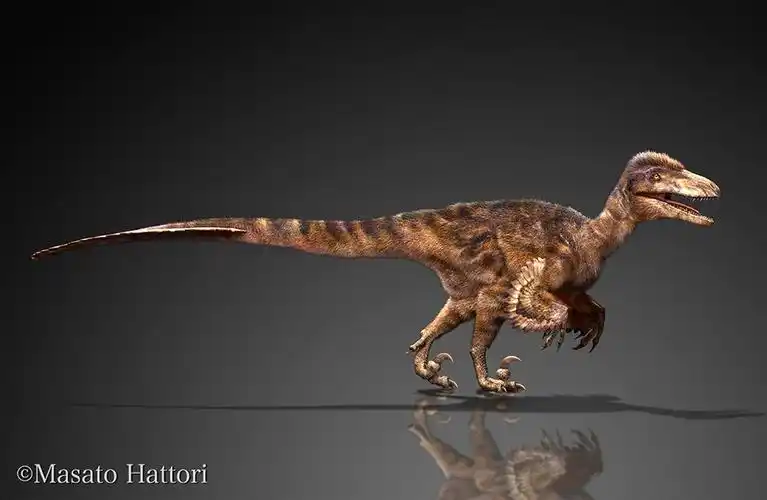 恐爪龙,恐龙图片,恐龙图库