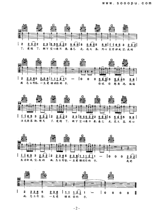 用心良苦 吉他类 流行 张宇 吉他谱 和弦谱