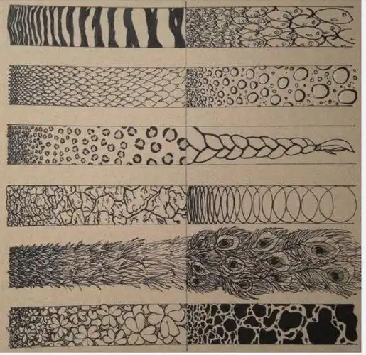 简笔画基本功线条纹理进阶篇