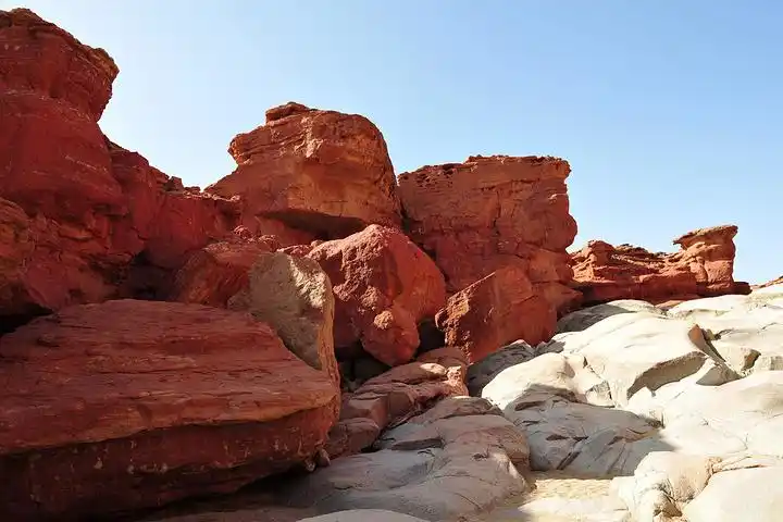 高不去了,我一个人向山上走去,已经看到好像更有型了,龟头部分更形象