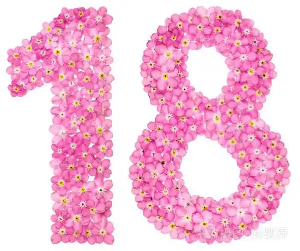 阿拉伯语数字18十八从粉红色忘记我不是花孤立的白色背景