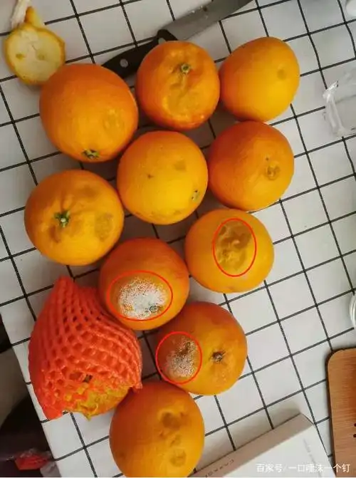 我是在每周4下午的年丰大当家微视直播中买的水果,因为每次直播都会