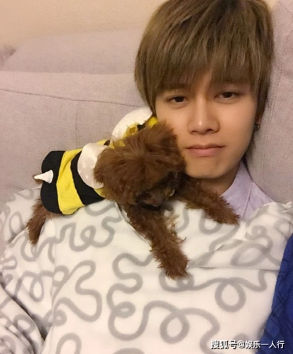 原创一起看任嘉伦住的豪宅:装修时尚又简约,连楼梯都用白色的