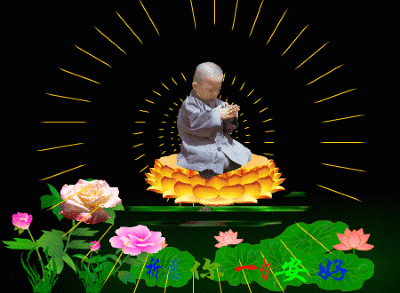 400_293gif 动态图 动图