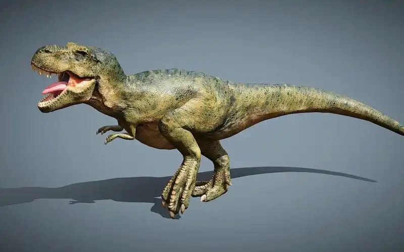 3d模型 - 霸王龙