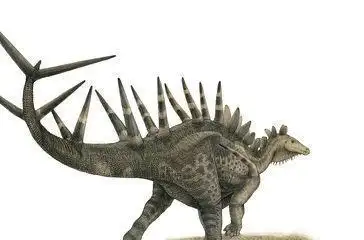 钉背龙图片简笔画(钉背龙简笔画可打印) -【爱个性】