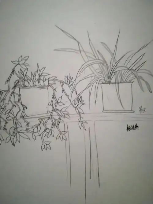 《线条的艺术表现力》 学生作品欣赏