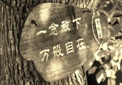 试着放下重新开始的句子放下一切重新开始的励志句子2