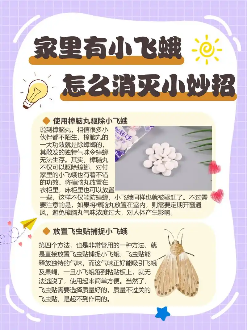 这几个小妙招了解一下 每到夏季,家里的小飞蛾便开始泛滥起来,厨房里