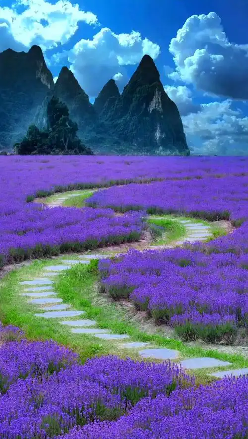 背景素材 过尽繁华万千,赏遍世间风景,最终发现,最美的风景始终在