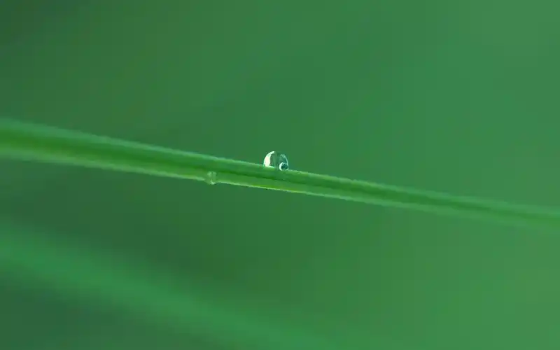 保护眼睛的桌面壁纸不伤眼睛壁纸100张