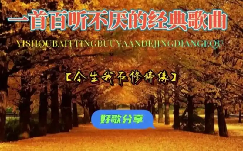 经典歌曲【今生我在修佛缘】人生就像一场戏,也是有缘才会相聚.