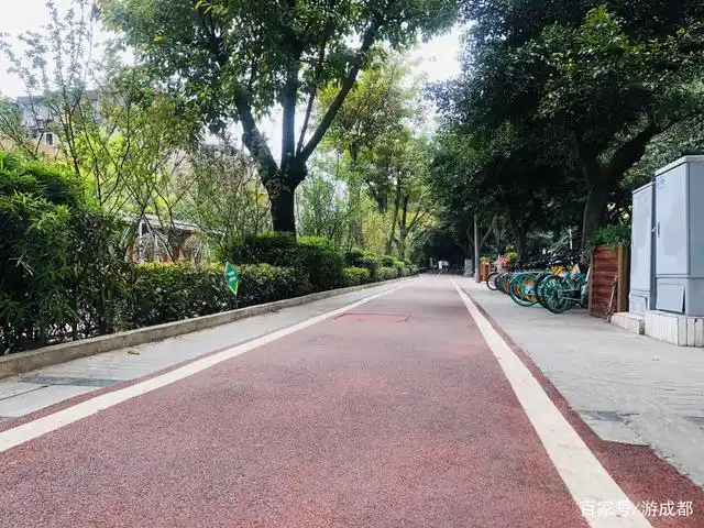 成都人身边的居住环境,街边的绿道和樱花是一道风景线