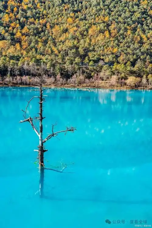 丽江蓝月谷,让你感受大自然的鬼斧神工!