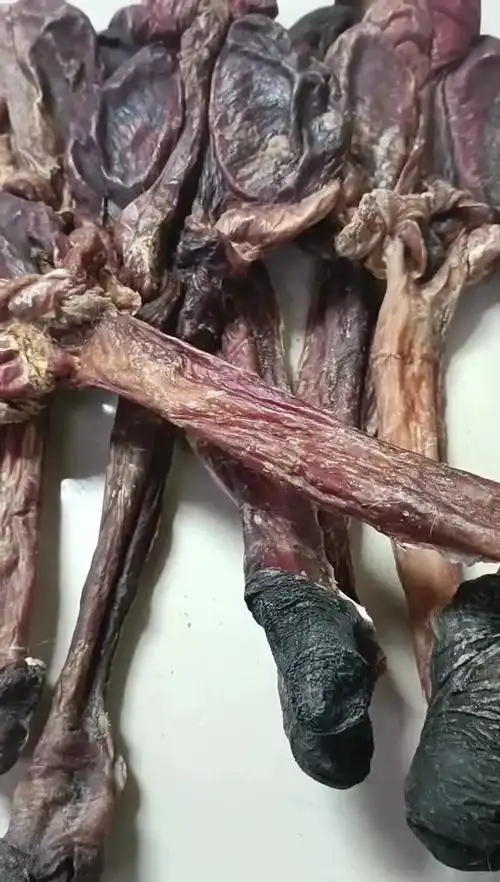 驴鞭狗鞭牛鞭马鞭批发男士泡酒料货真价实现货代发批发量大价优