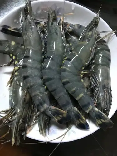 草虾日日水产九节海鲜冷冻鲜活新鲜虎虾大虾冻虾