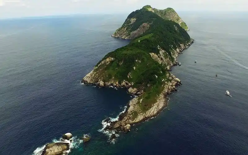 人类禁区—巴西蛇岛!科学家:上岛就意味着你离死亡只有一米