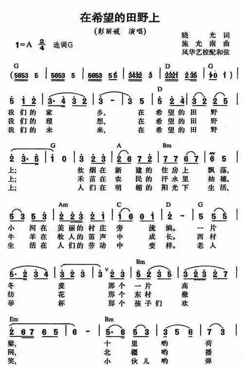 在希望的田野上