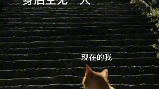 现在的我身后空无一人,以前的我不相信身后会空无一人