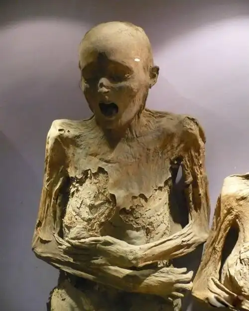 很可能是这种习俗导致了迷信,所以普遍人们会认为木乃伊复活了.